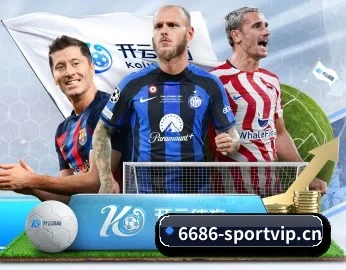 6686体育sportvip APP 深度功能（6686sports）